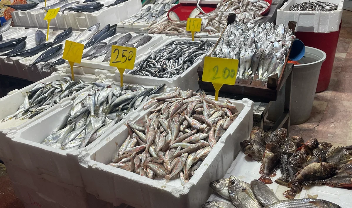 Samsun’da balık bolluğu! Tezgahlarında son durum: İşte fiyat Listesi